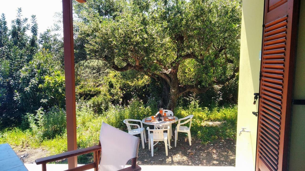Green Hill House Βίλα Αλυκών Εξωτερικό φωτογραφία
